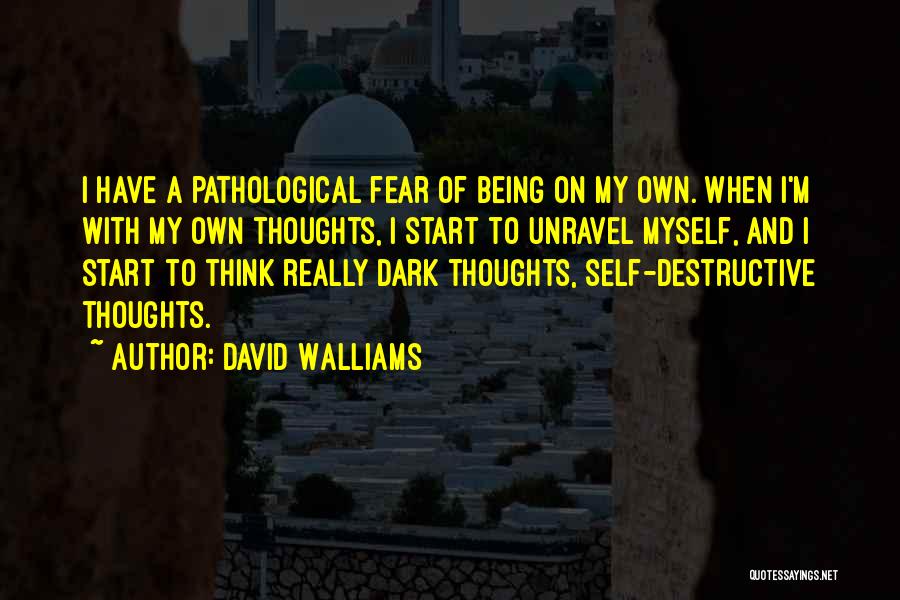 I Have My Own Thoughts Quotes By David Walliams