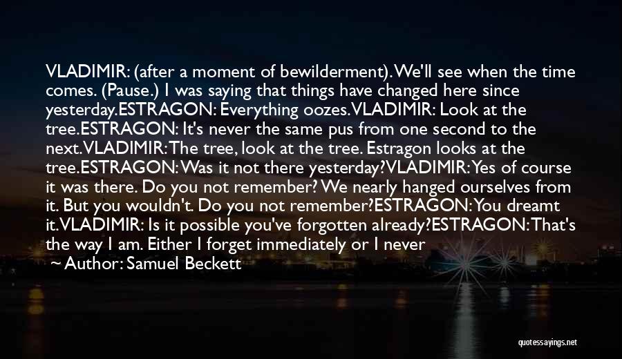 I Have Never Forgotten You Quotes By Samuel Beckett