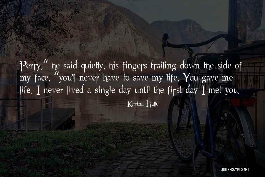 I Have Never Met You Quotes By Karina Halle I Have Never Met You Quotes By Karina Halle