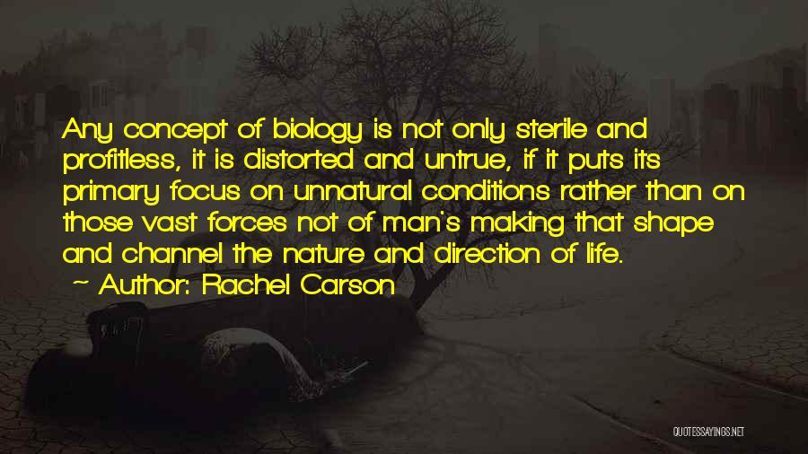 I Have No Direction In Life Quotes By Rachel Carson