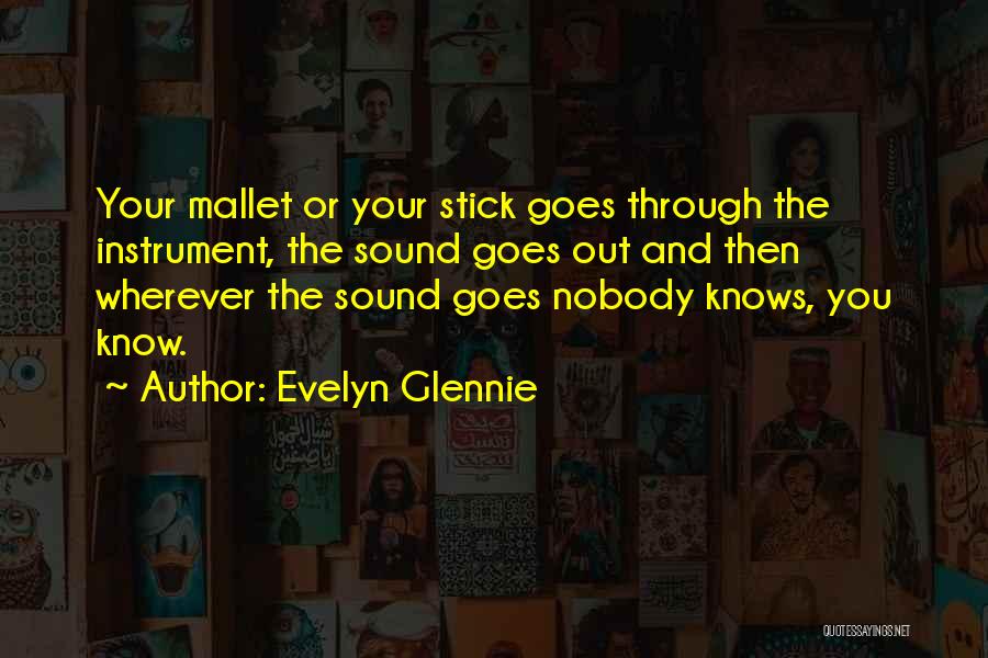 I Have Nobody For My Own Quotes By Evelyn Glennie