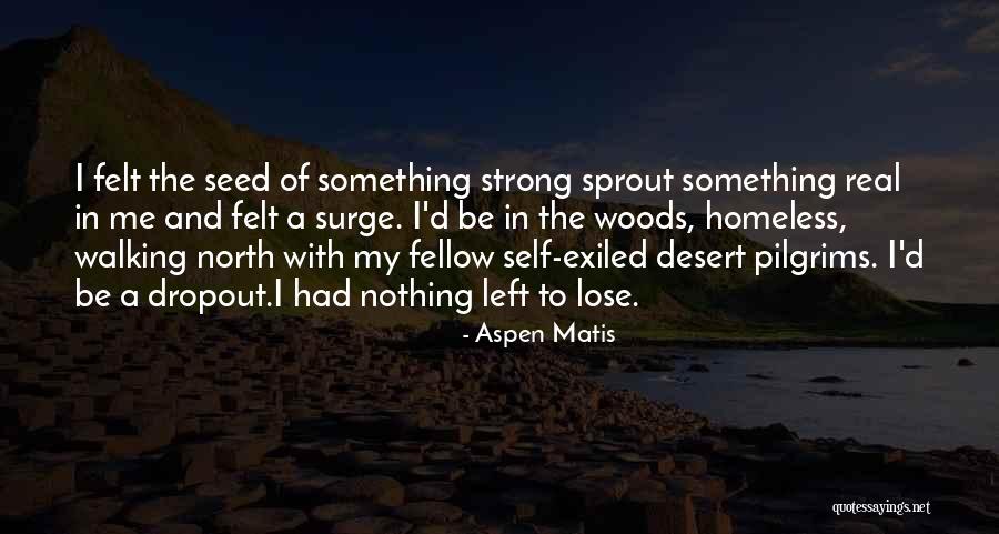 I Have Nothing Left To Lose Quotes By Aspen Matis