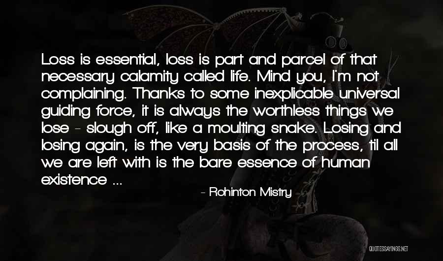 I Have Nothing Left To Lose Quotes By Rohinton Mistry