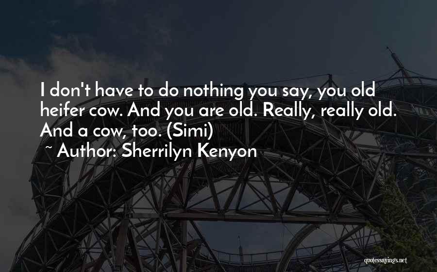 I Have Nothing To Say Quotes By Sherrilyn Kenyon