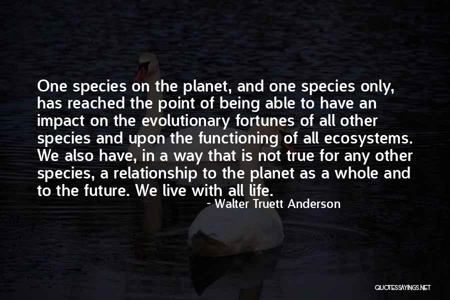I Have Reached A Point In My Life Quotes By Walter Truett Anderson I Have Reached A Point In My Life Quotes By Walter Truett Anderson