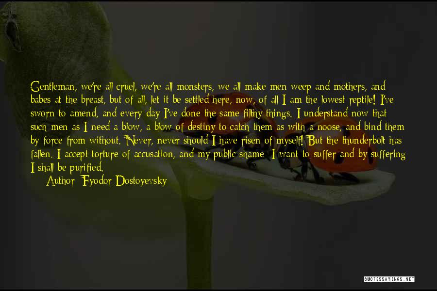 I Have Risen Quotes By Fyodor Dostoyevsky