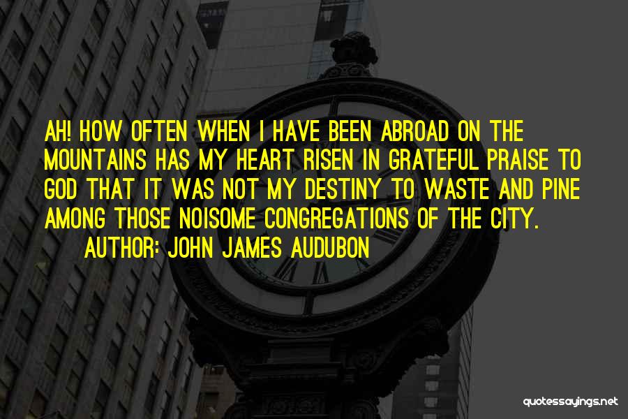 I Have Risen Quotes By John James Audubon