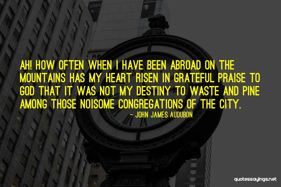I Have Risen Quotes By John James Audubon I Have Risen Quotes By John James Audubon