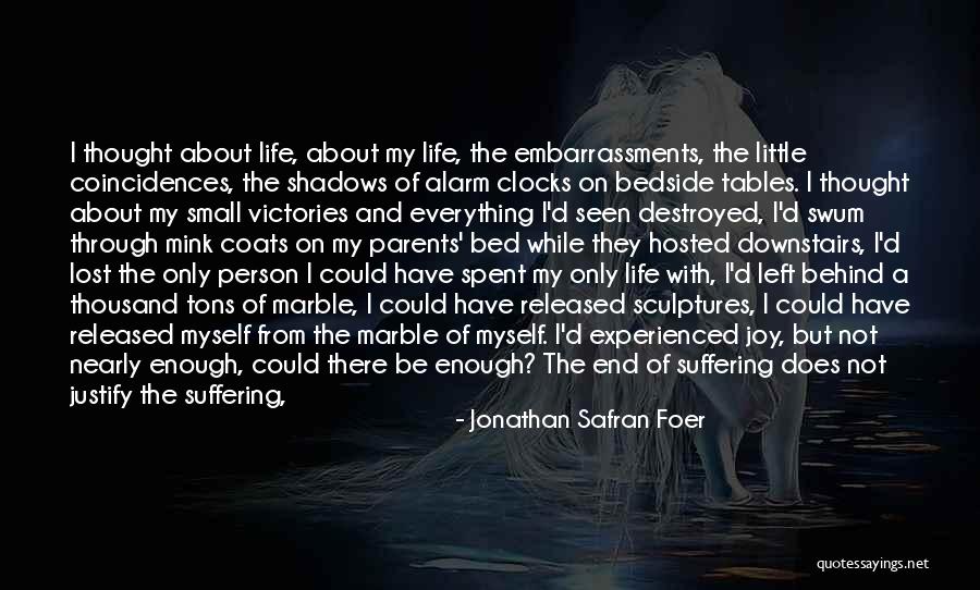 I Have Seen Enough Quotes By Jonathan Safran Foer