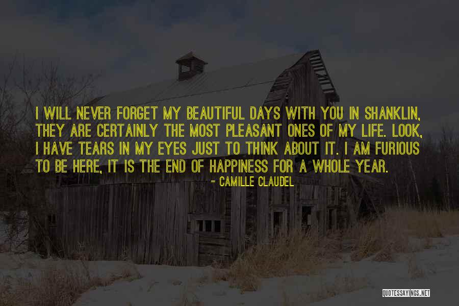 I Have Tears In My Eyes Quotes By Camille Claudel