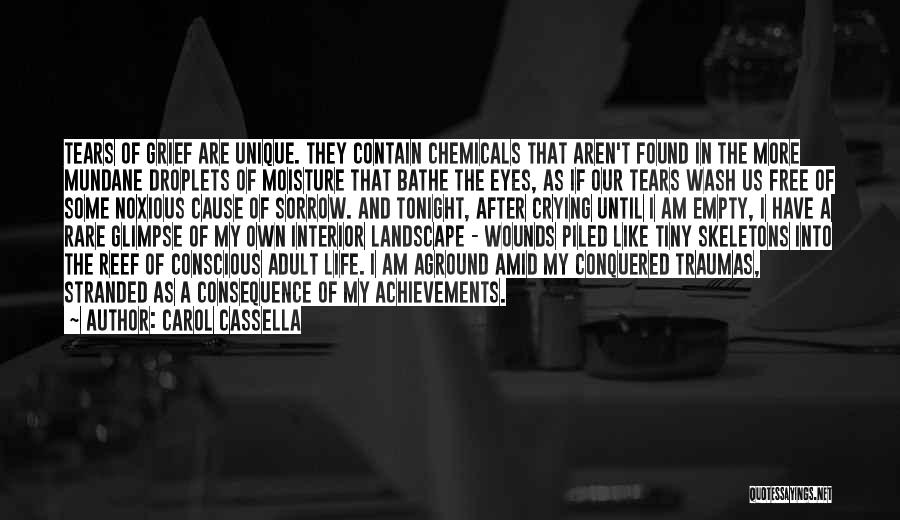 I Have Tears In My Eyes Quotes By Carol Cassella