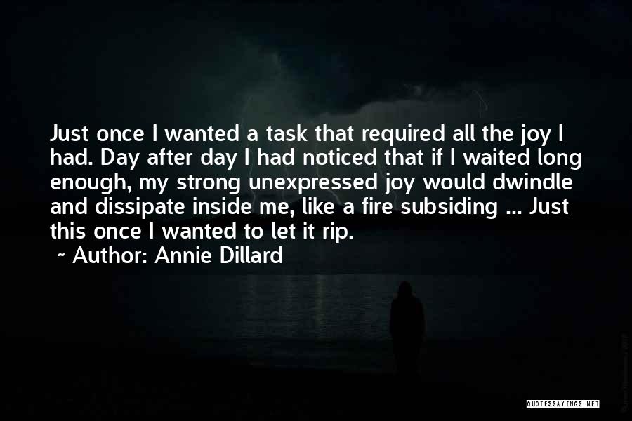 I Have Waited Long Enough Quotes By Annie Dillard