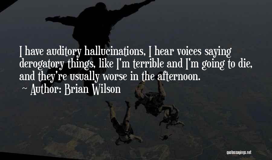 I Hear Voices Quotes By Brian Wilson