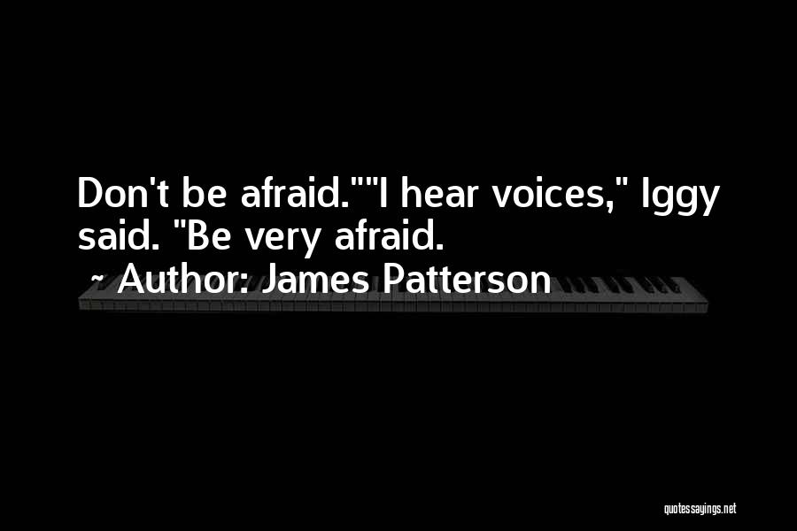 I Hear Voices Quotes By James Patterson