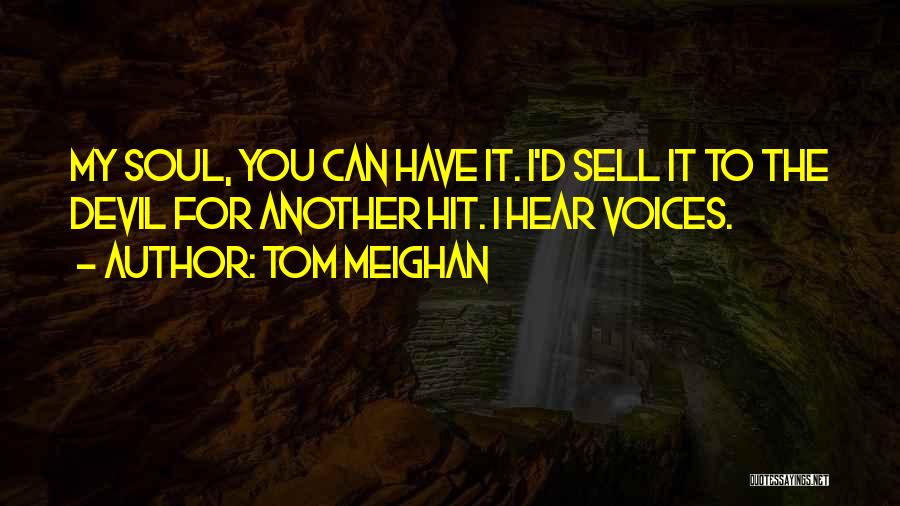 I Hear Voices Quotes By Tom Meighan