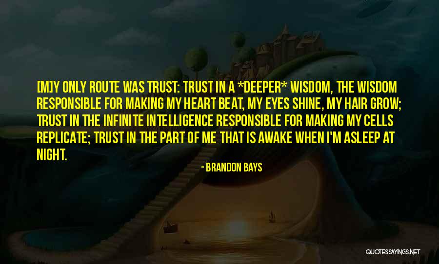 I Heart Intelligence Quotes By Brandon Bays I Heart Intelligence Quotes By Brandon Bays