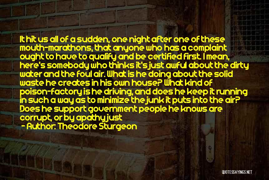 I Here To Support You Quotes By Theodore Sturgeon