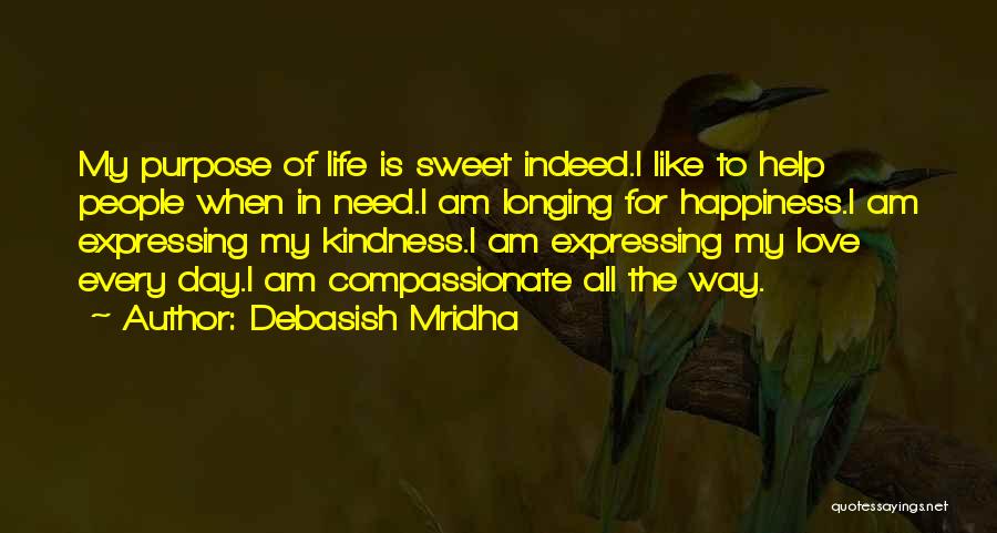 I Hope For Happiness Quotes By Debasish Mridha