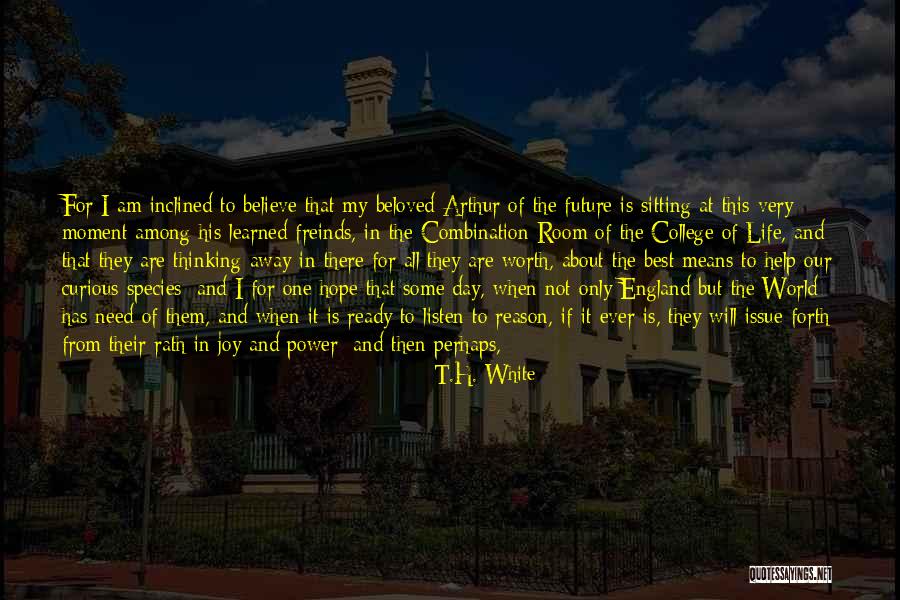 I Hope For Happiness Quotes By T.H. White