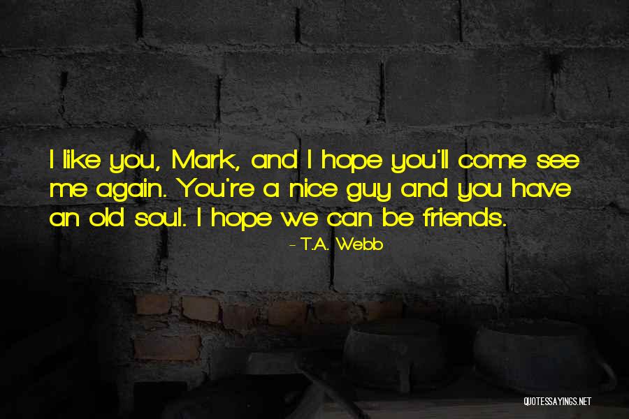 I Hope I Can See You Again Quotes By T.A. Webb