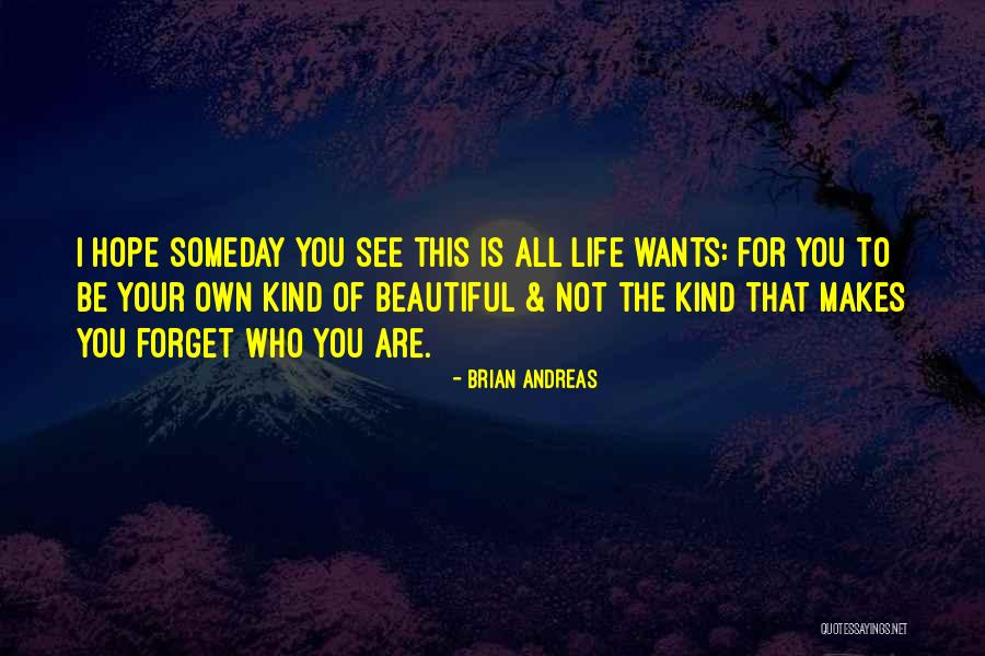 I Hope That Someday Quotes By Brian Andreas