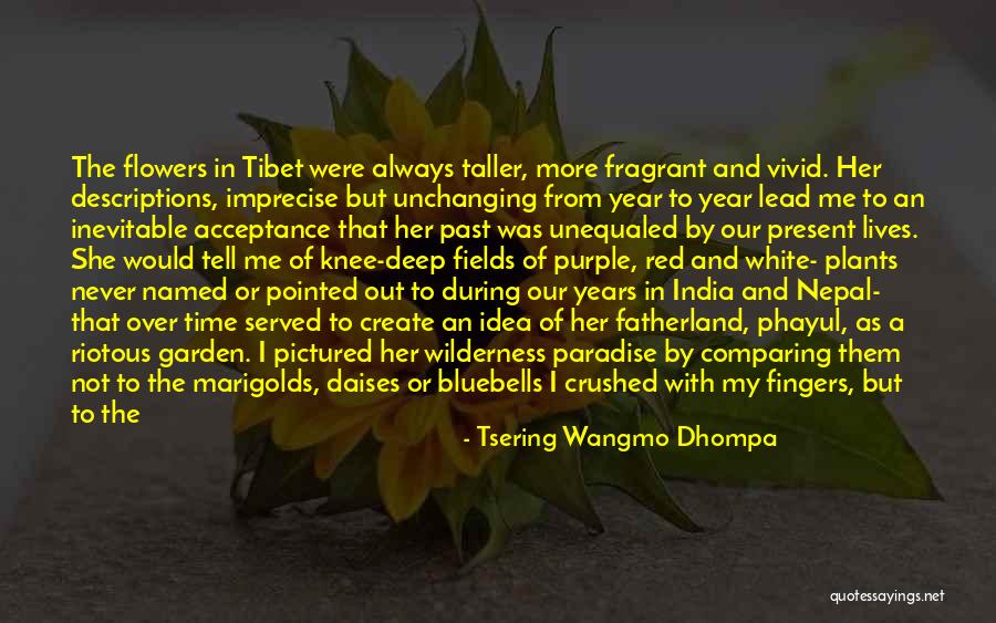 I Hope You Always Happy Quotes By Tsering Wangmo Dhompa I Hope You Always Happy Quotes By Tsering Wangmo Dhompa