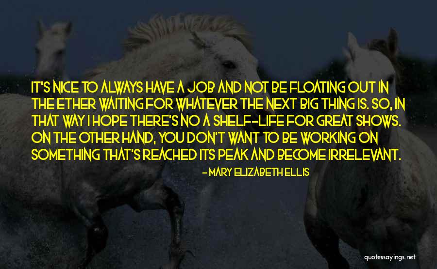 I Hope You Become Quotes By Mary Elizabeth Ellis I Hope You Become Quotes By Mary Elizabeth Ellis