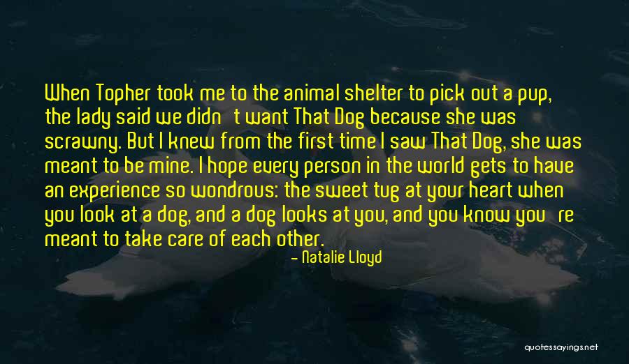 I Hope You Care Quotes By Natalie Lloyd