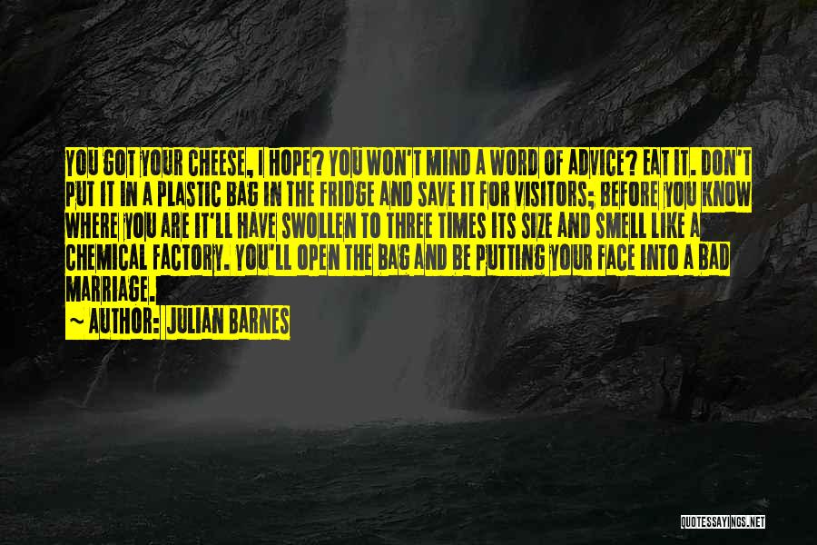 I Hope You Like It Quotes By Julian Barnes