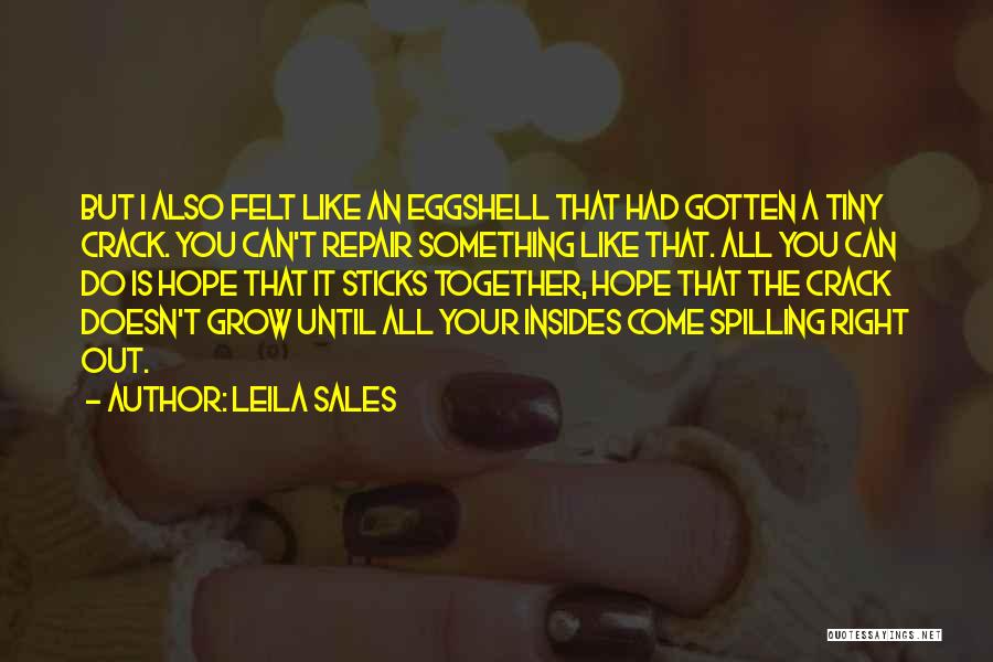 I Hope You Like It Quotes By Leila Sales