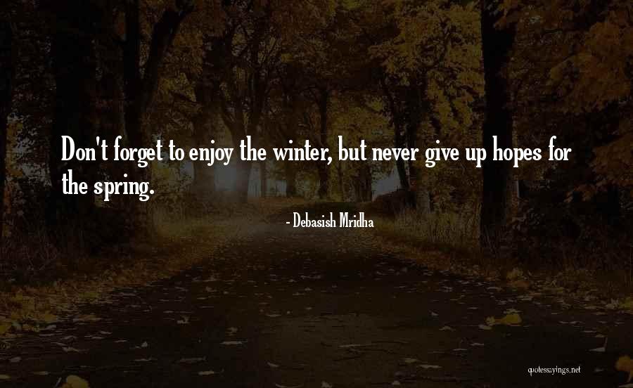 I Hope You Never Forget Quotes By Debasish Mridha