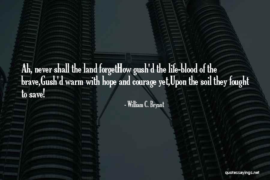 I Hope You Never Forget Quotes By William C. Bryant