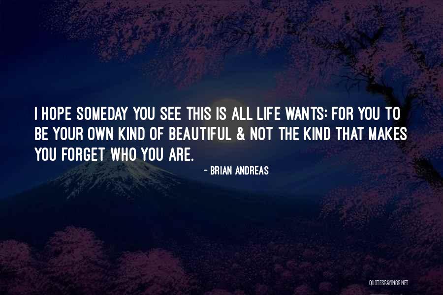 I Hope You See Quotes By Brian Andreas I Hope You See Quotes By Brian Andreas