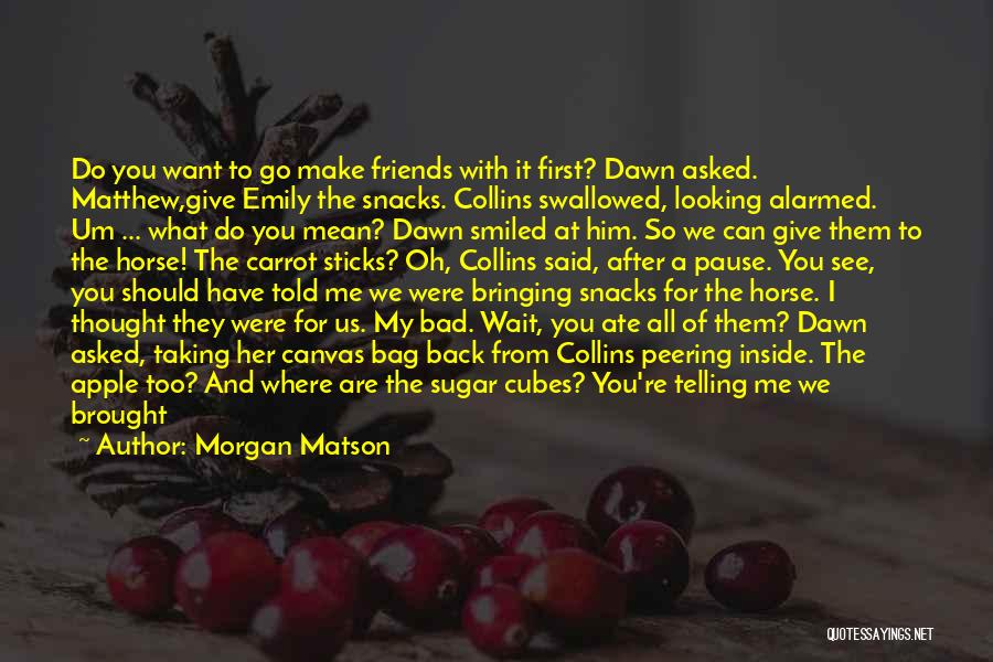 I Just Can't Believe Quotes By Morgan Matson