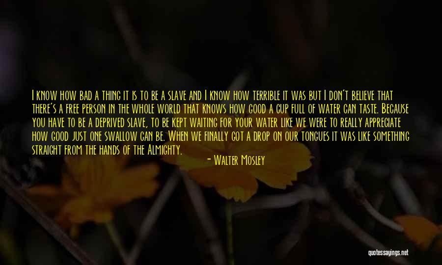 I Just Can't Believe Quotes By Walter Mosley I Just Can't Believe Quotes By Walter Mosley
