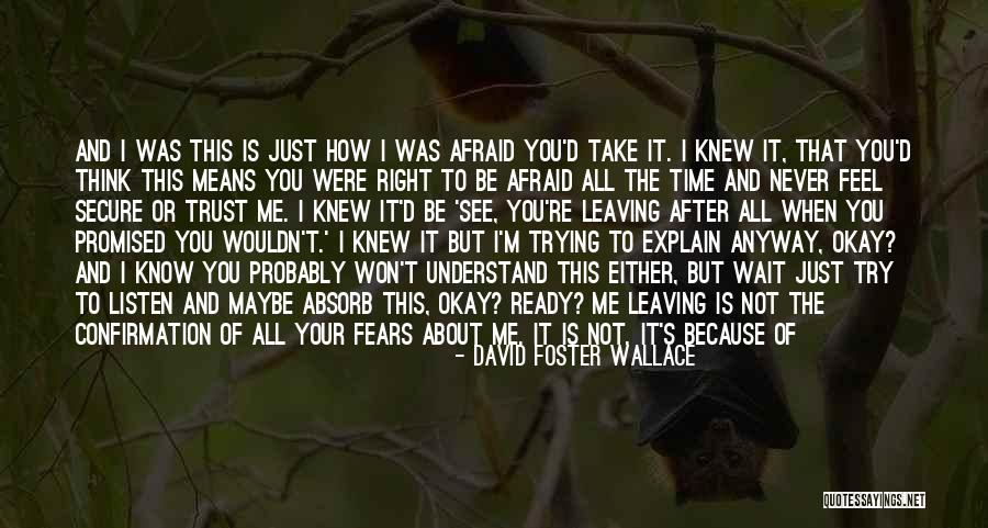 I Just Can't Take It Anymore Quotes By David Foster Wallace