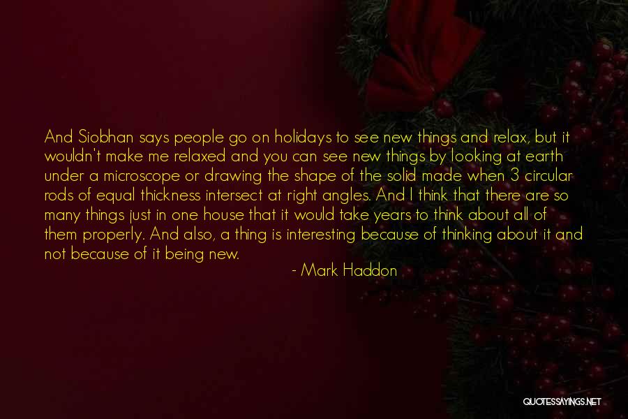 I Just Can't Take It Quotes By Mark Haddon