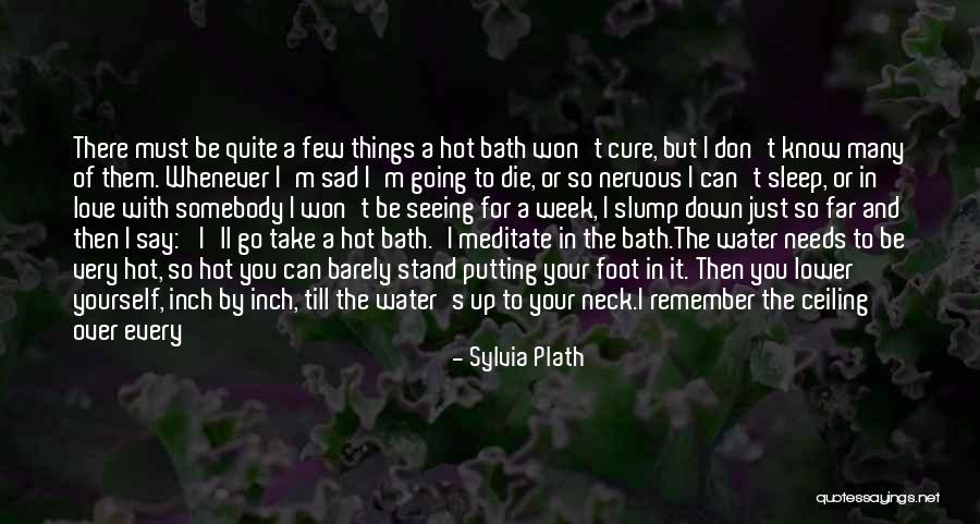 I Just Feel Sad Quotes By Sylvia Plath