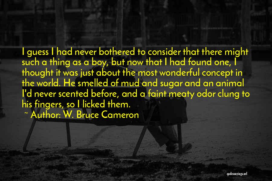 I Just Had A Thought Quotes By W. Bruce Cameron