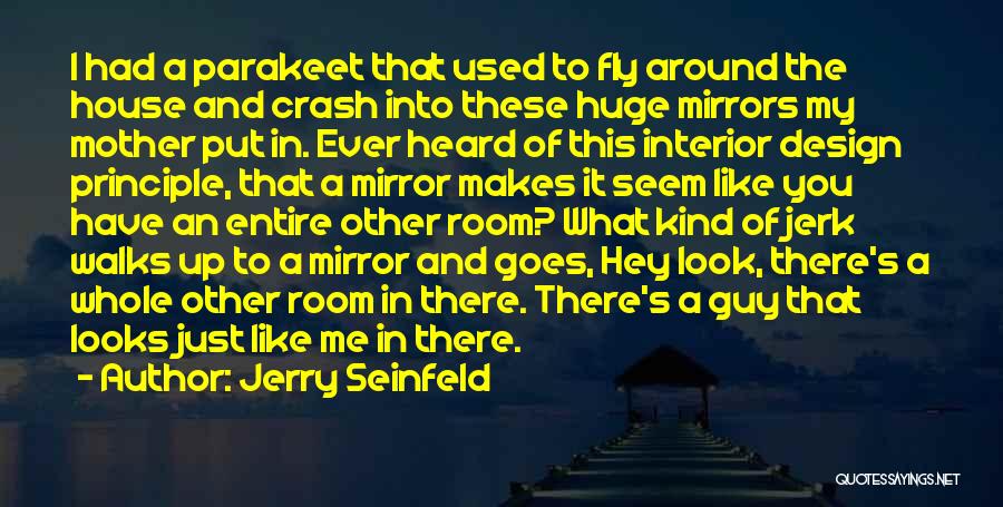 I Just Like A Mirror Quotes By Jerry Seinfeld