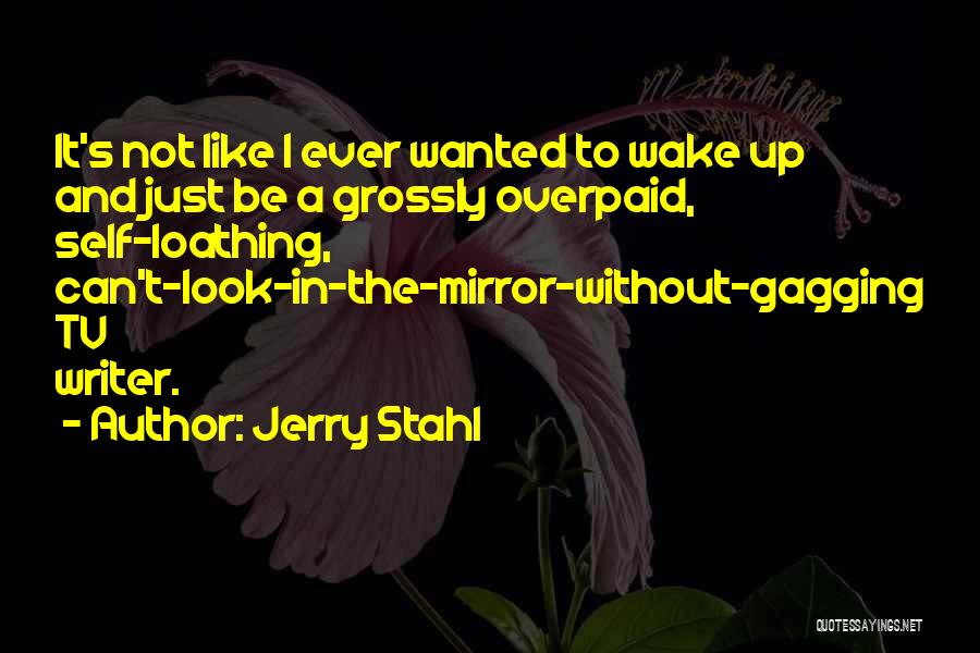 I Just Like A Mirror Quotes By Jerry Stahl