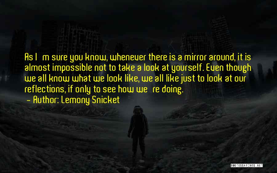 I Just Like A Mirror Quotes By Lemony Snicket