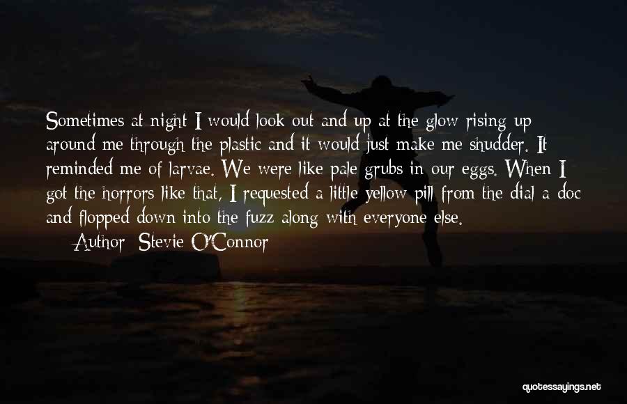 I Just Like A Mirror Quotes By Stevie O'Connor