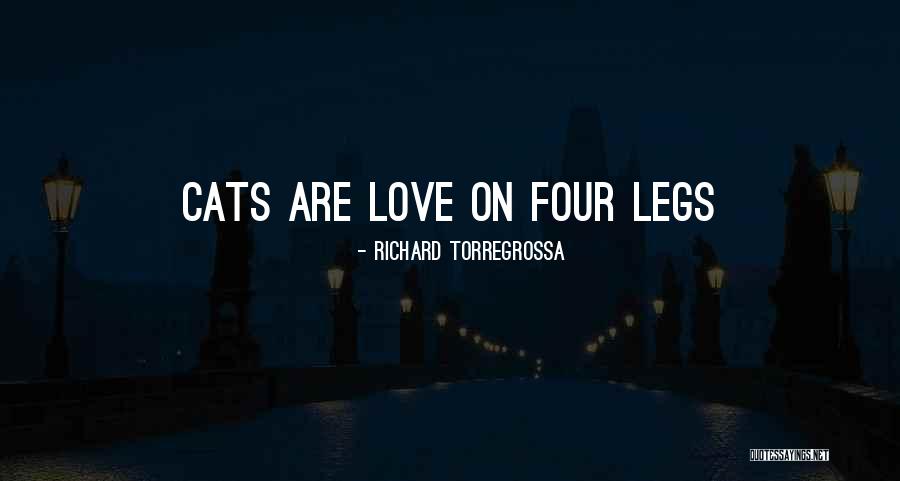 I Just Love Cats Quotes By Richard Torregrossa