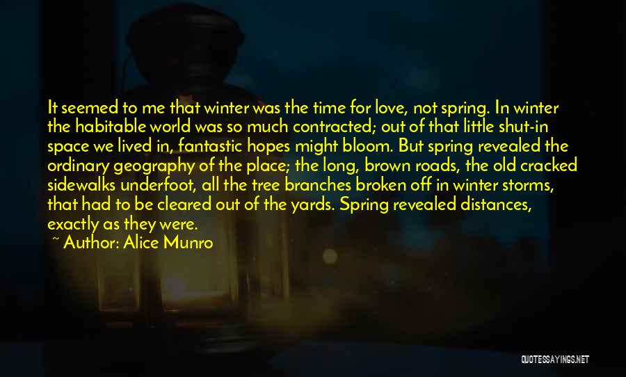 I Just Love Winter Quotes By Alice Munro