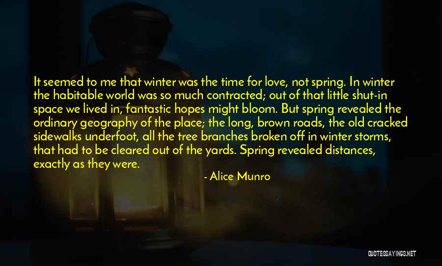 I Just Love Winter Quotes By Alice Munro