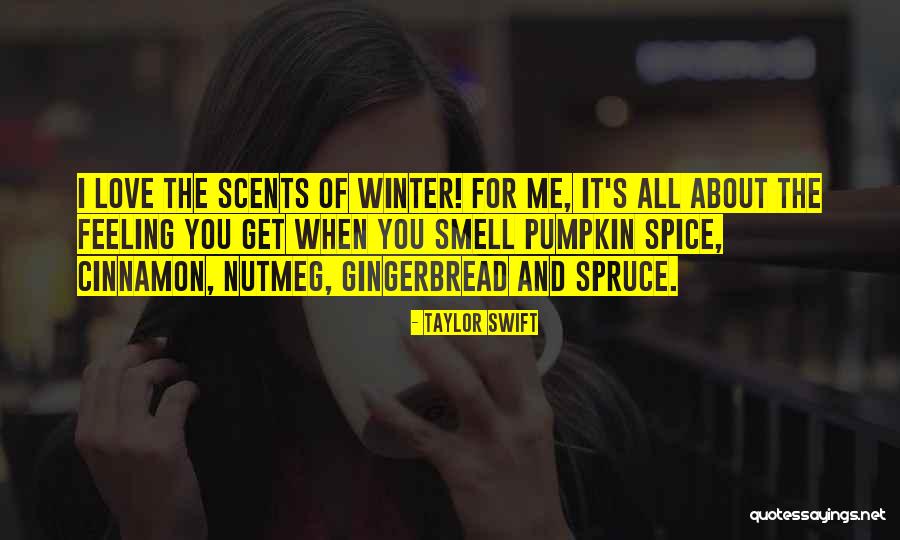 I Just Love Winter Quotes By Taylor Swift