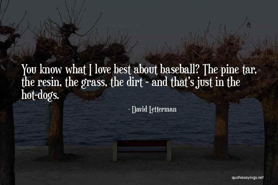 I Just Love You Quotes By David Letterman