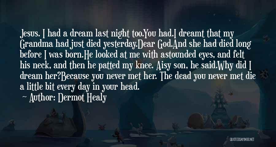 I Just Met You Quotes By Dermot Healy