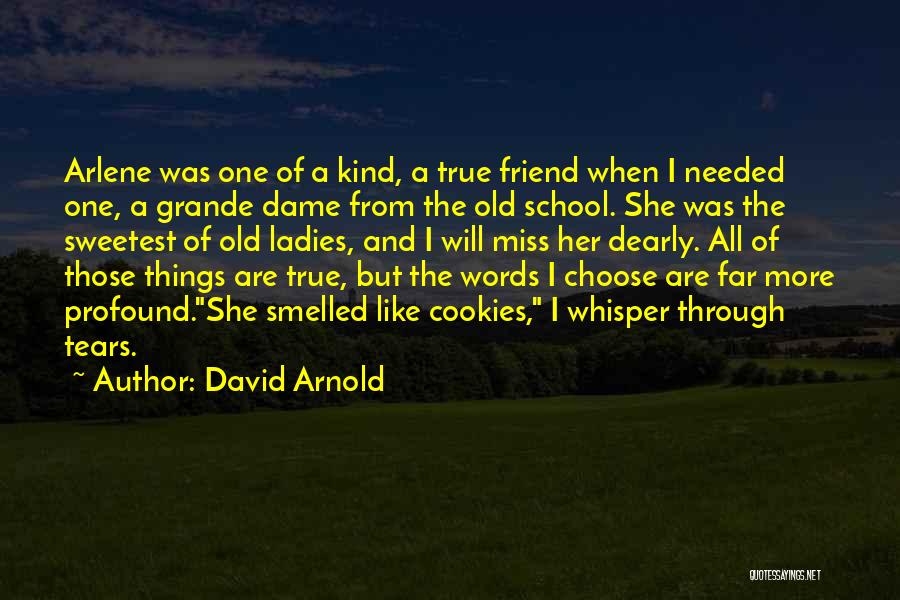 I Just Miss The Old You Quotes By David Arnold